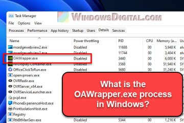 What is OAWrapper.exe