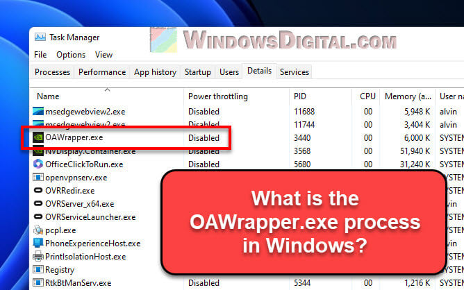 What is OAWrapper.exe