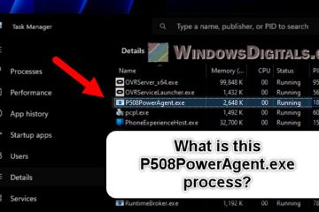 What is P508PowerAgent.exe