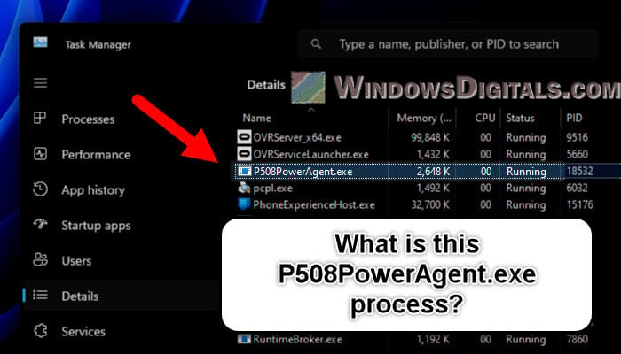 What is P508PowerAgent.exe