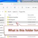 What is RUXIM in Program Files