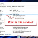 What is WarpJITSvc Service in Windows 11 or 10