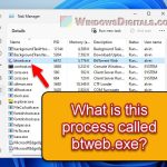 What is btweb.exe or btweb_installer.exe