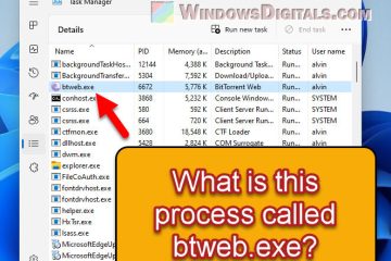 What is btweb.exe or btweb_installer.exe