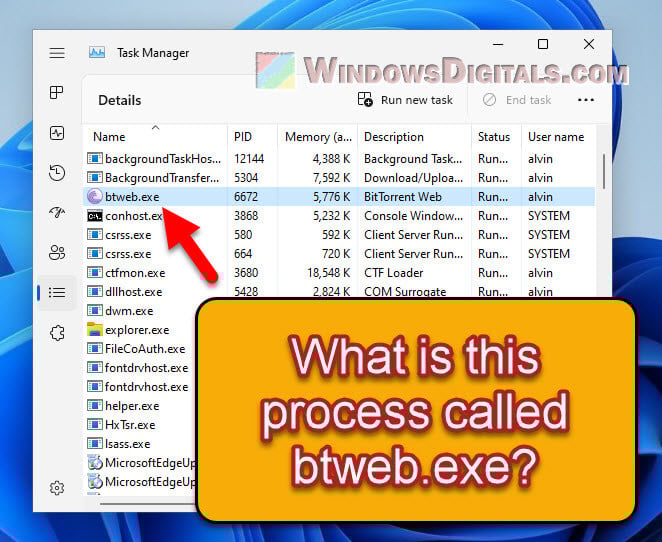 What is btweb.exe or btweb_installer.exe