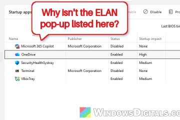 What is the ELAN FW Update Confirm Window at Startup
