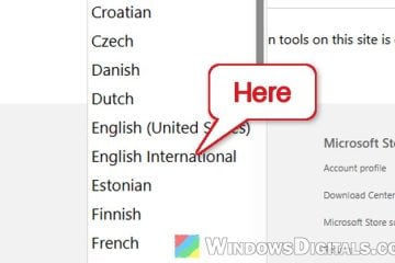Where to Download the Windows 11 English International ISO