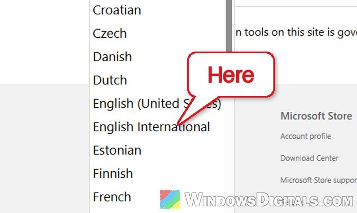 Where to Download the Windows 11 English International ISO