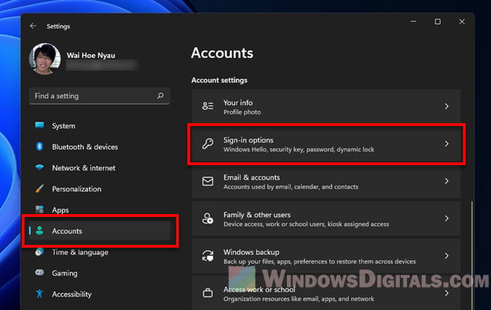 Windows 11 Accounts Sign-in Options