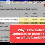 Windows 11 Delivery Optimization High Network Usage