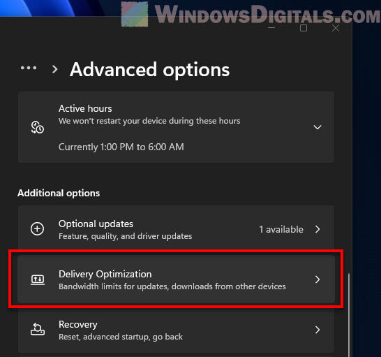 Windows 11 Delivery Optimization Settings