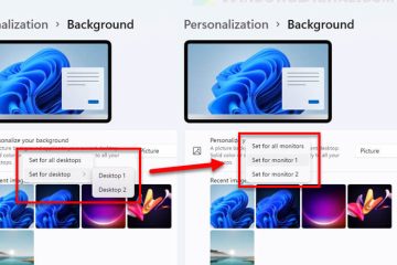 Windows 11 Different Wallpaper on Each Monitor Not Working