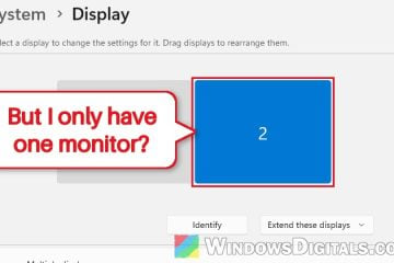 Windows 11 Display Settings Shows a Monitor That Isn't Connected