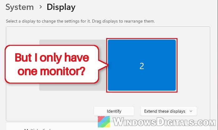 Windows 11 Display Settings Shows a Monitor That Isn't Connected
