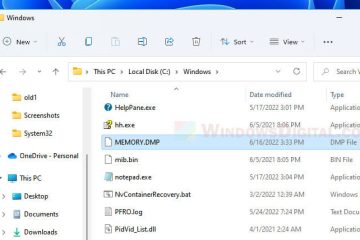 Windows 11 Dump File Location
