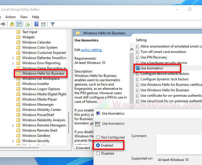Windows 11 Fingerprint not working