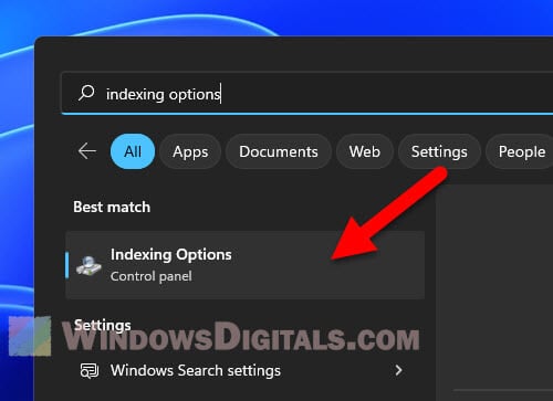 Windows 11 Indexing Options