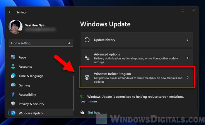 Windows 11 Insider Preview Program Watermark
