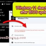 Windows 11 Not Activated After BIOS Update