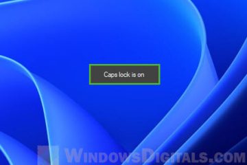 Windows 11 On-Screen Caps Lock Indicator