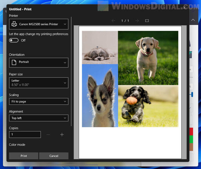Windows 11 Photos App Printing