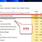 Windows 11 Search Indexer High CPU and Disk Usage