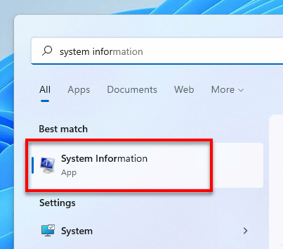Windows 11 System Information