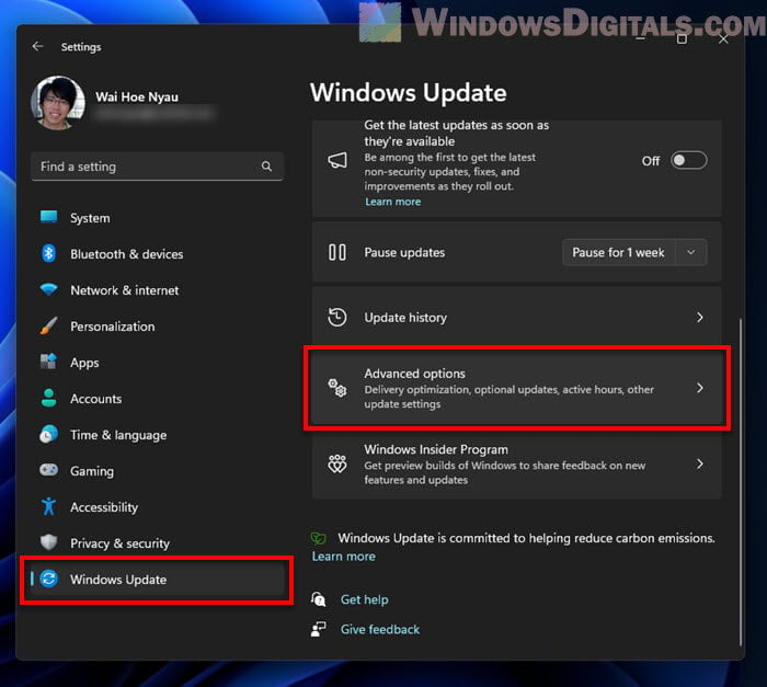 Windows 11 Update Advanced Options