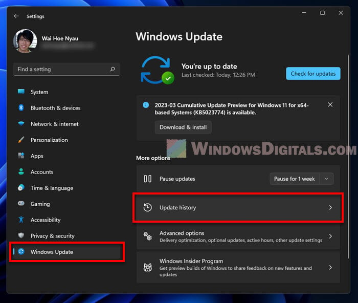 Windows 11 Update History