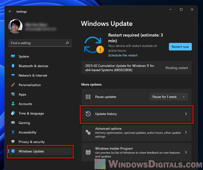 Windows 11 View update history