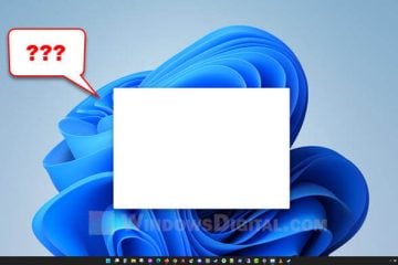 Windows 11 White Blank Block Square Box