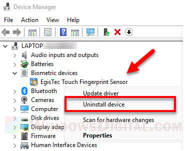 Windows Hello Fingerprint not working Windows 11