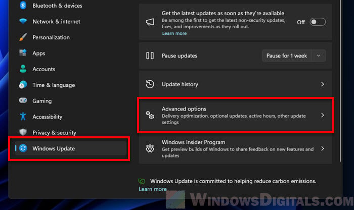 Windows Update Advanced options