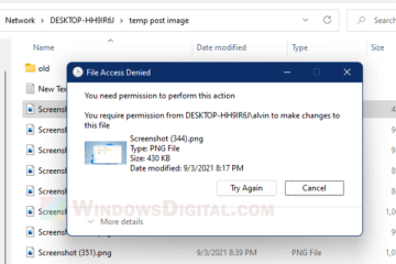 You need permission to perform this action network share folder Windows 11 10