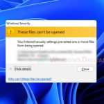 Your Internet security settings prevented one or more files Windows 11