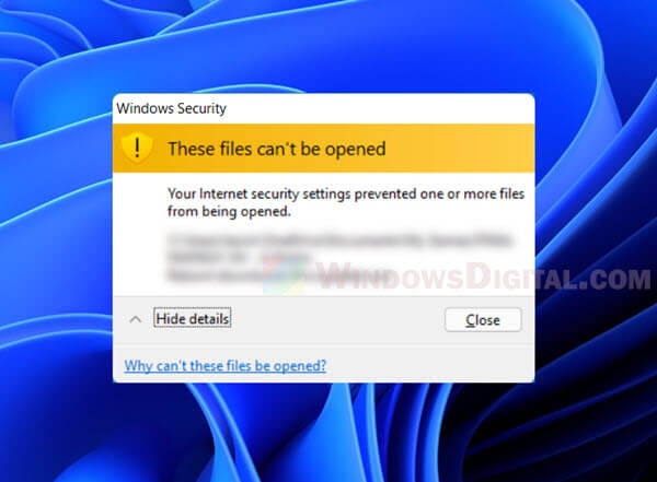 Your Internet security settings prevented one or more files Windows 11