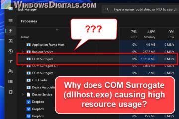 dllhost.exe COM Surrogate High CPU Memory Usage