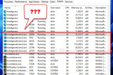 msedgewebview2.exe Microsoft Edge WebView2 Runtime