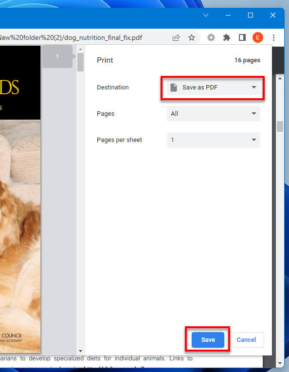 remove password read-only protection from PDF