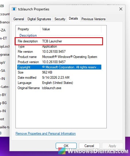 tcblaunch.exe TCB Launcher file properties