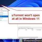 uTorrent Not Opening in Windows 11 or 10