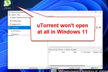 uTorrent Not Opening in Windows 11 or 10