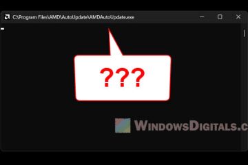 what is amdautoupdate.exe window