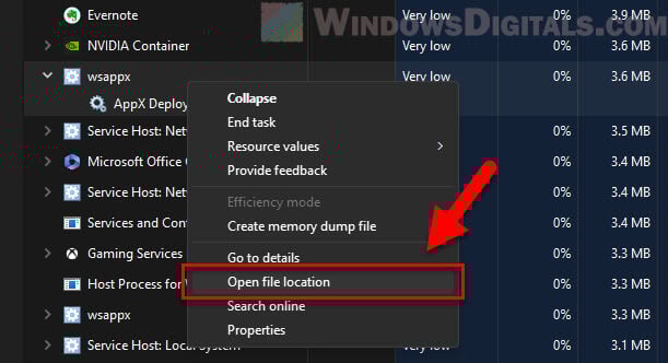 wsappx file location in Windows 11